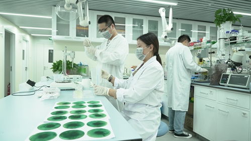 新洋豐 高舉創(chuàng)新大旗，引領(lǐng)農(nóng)業(yè)科學(xué)研究和試驗(yàn)發(fā)展