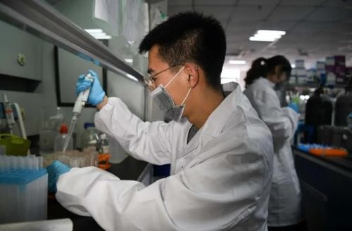 學術裁縫 農業科學研究中的論文灌水套路與危害