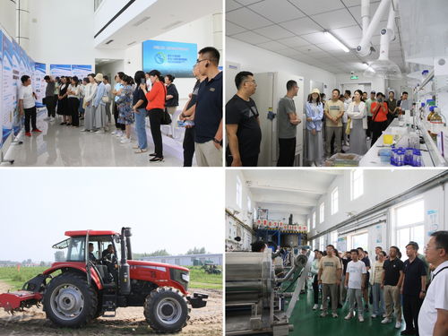 內(nèi)蒙古農(nóng)大AI創(chuàng)新教學(xué)與科研能力提升培訓(xùn)班在涿州教學(xué)實(shí)驗(yàn)場圓滿收官