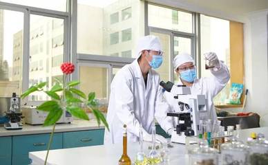 龍潤藥業榮獲2018年度云南省科學技術進步獎三等獎，彰顯農業科研創新實力