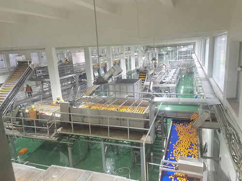 農發行忠縣支行加大農業科技投放力度，助力企業高質量發展