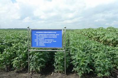 廣東省加大國家農業科研項目扶持力度，推動農業科技發展