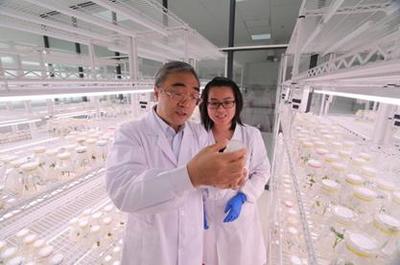 5·30來啦！河南科技工作者暢談農業科學研究和試驗發展新篇章