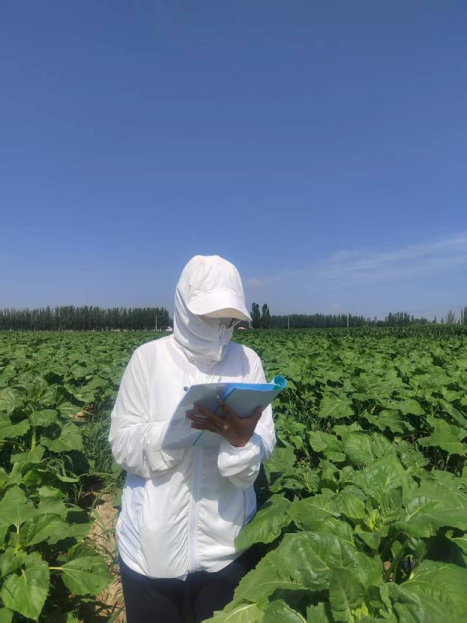 鄂爾多斯市人民政府推動農(nóng)業(yè)科學(xué)研究和試驗(yàn)發(fā)展的戰(zhàn)略與實(shí)踐