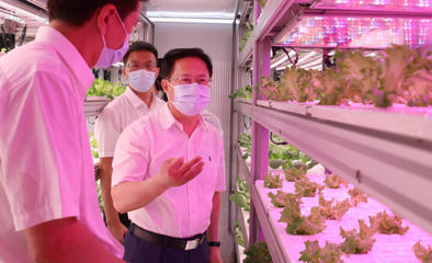 鄭柵潔調(diào)研省農(nóng)科院 強(qiáng)化市場與效率意識，驅(qū)動農(nóng)業(yè)科技創(chuàng)新新篇章