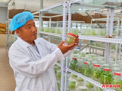 凝神謀發(fā)展 實(shí)干興隴原——“三抓三促”行動專題報(bào)道 | 西和 民樂種業(yè) 實(shí)業(yè)興農(nóng) 以科研創(chuàng)新驅(qū)動農(nóng)業(yè)現(xiàn)代化