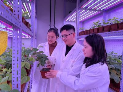 河南大學(xué) 聚焦農(nóng)業(yè)科技創(chuàng)新，打造現(xiàn)代農(nóng)業(yè)發(fā)展新高地