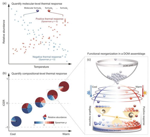 全球變化背景下有機(jī)碳環(huán)境響應(yīng)力研究取得新進(jìn)展——農(nóng)業(yè)科學(xué)研究與試驗(yàn)發(fā)展的前沿探索
