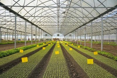 區(qū)領(lǐng)導(dǎo)深入調(diào)研農(nóng)業(yè)科創(chuàng)谷推進工作，強調(diào)以科技創(chuàng)新驅(qū)動農(nóng)業(yè)現(xiàn)代化發(fā)展