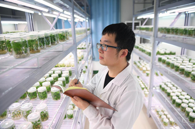 鏡頭丨勞動讓生活更美好 農(nóng)業(yè)科學(xué)研究和試驗發(fā)展