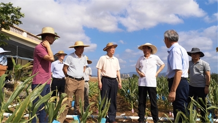 我校國家農(nóng)業(yè)科技戰(zhàn)略研究院赴海南開展熱帶農(nóng)業(yè)科技創(chuàng)新調(diào)研，助力農(nóng)業(yè)科研發(fā)展新篇章